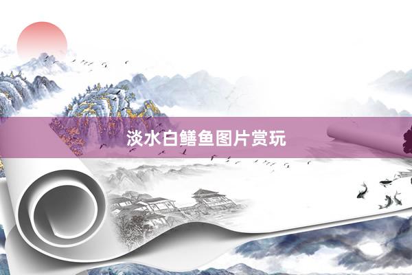 淡水白鳝鱼图片赏玩